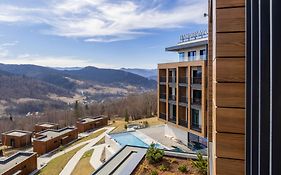 Panorama Skhidnytsya Spa 5*